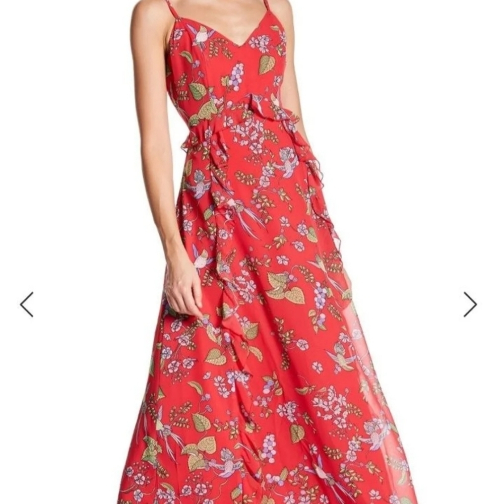 Nanette lepore ruffled Tangerine Floral maxi dress vneck ruffles wedding…